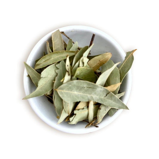 HOJA DE LAUREL