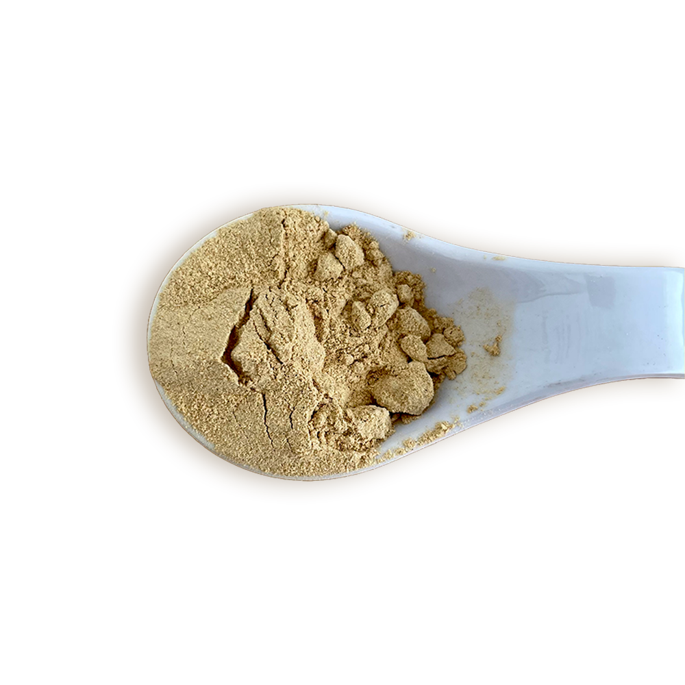 MACA