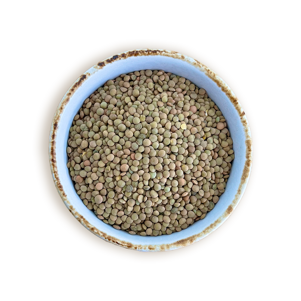 LENTEJA CHICA