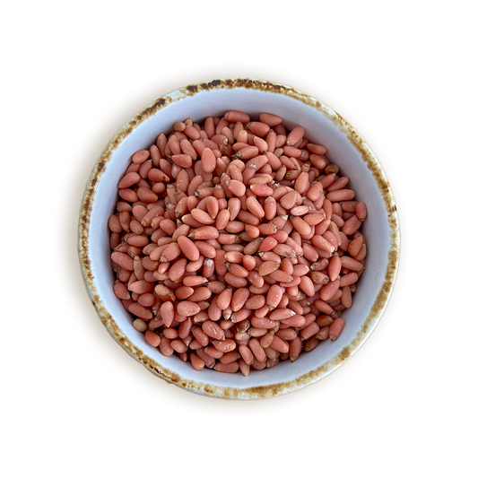 PIÑON BLANCO
