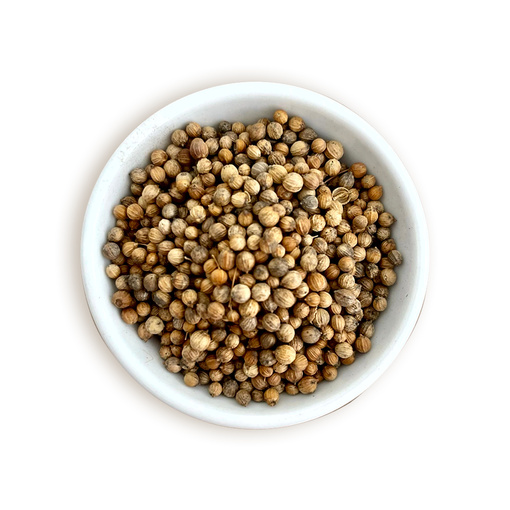 SEMILLA DE CILANTRO