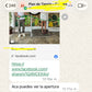 CREA TU TIENDA SALUDABLE DESDE CERO