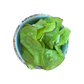PEPINO LIMON