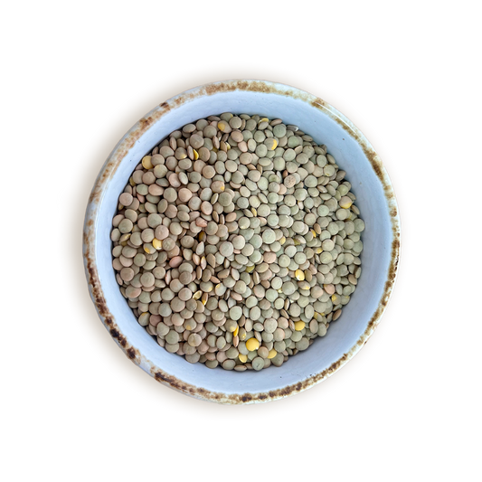 LENTEJA GRANDE